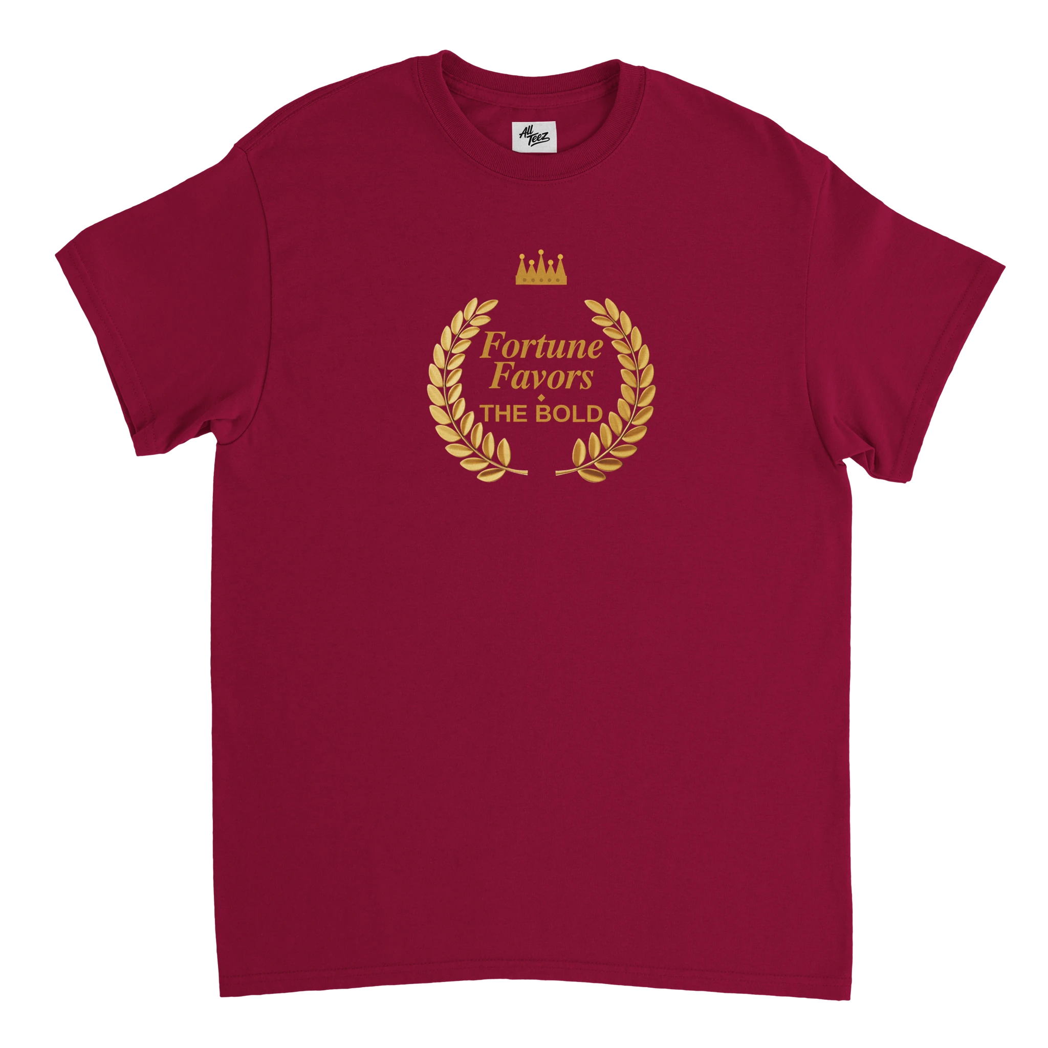 Entrepreneur Career Focus T-Shirt color view - All Teez